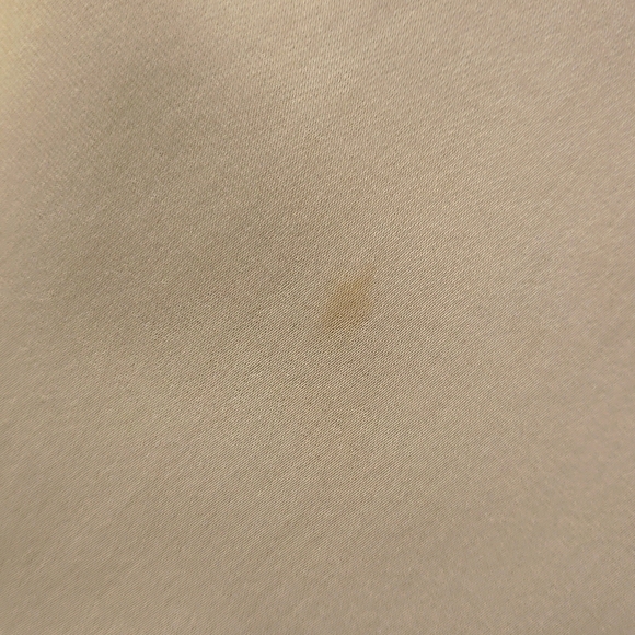 Camel Silk Skirt - Picture 6 of 9